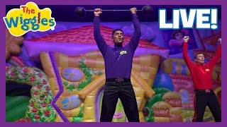 I'm John, I'm Strong!  The Wiggles Live in Concert!  John Wiggle  Kids Music