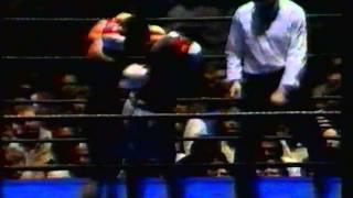 Kickboxing Classic: HOLLAND vs JAPAN 1981 Part II