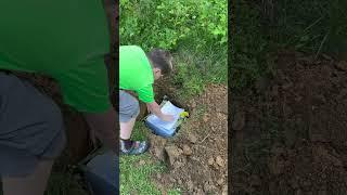 Burying my dog