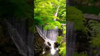 Nunobiki Waterfall #japan #nature #waterfall #nature
