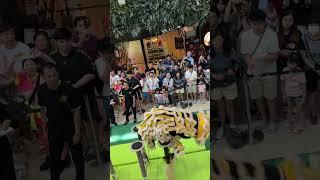 Singapore Jin Heng Dragon & Lion Dance Centre首届利达广场新马南狮高桩锦标赛The Seletar Mall 7Jun 2025