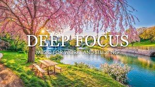 Deep Focus Music To Improve Concentration - 3 Hours of Ambient Study Music to Concentrate #2