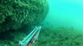 VOCALSUB spearfishing