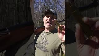 .700 BMG Vs. Grizzly Bear (Kentucky Ballistics)