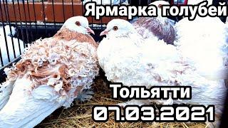 Ярмарка голубей в Тольятти 07.03.2021