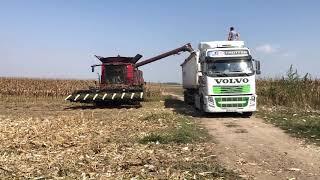 Județul Giurgiu. Case IH Axial-Flow 6150/ Heder Olimac GT 8