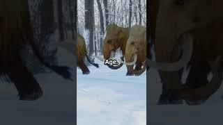 WHY THE DIRE WOLF BECAME EXTINCT!