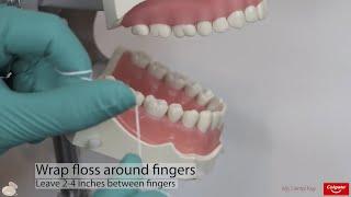Flossing | Colgate Bright Smiles, Bright Futures® x My Dental Key