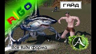 ArcheAge Все виды фарма гайд