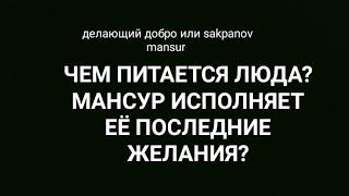 ДЕЛАЮЩИЙ ДОБРО или SAKPANOV MANSUR. ЧЕМ ПИТАЕТСЯ ЛЮДА? МАНСУР ИСПОЛНЯЕТ ЕЁ ПОСЛЕДНИЕ ЖЕЛАНИЯ?