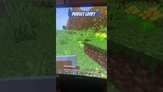 2 week Minecraft phase  #loop #minecraft #sorryforlackofuploads