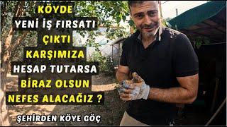 KÖYDE YENİ İŞ FIRSATI ÇIKTI KARŞIMIZA HESAP TUTARSA BİRAZ OLSUN NEFES ALACAĞIZ ?