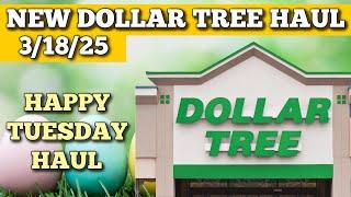 NEW DOLLAR TREE HAUL 3/18/25