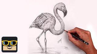 How To Draw a Flamingo | Sketch Tutorial