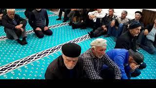 Къурбан Къоялъул " Гlидaлъул Как " : Закатала районалъул Пашан росу _ 06-06-2025 сон ️️️