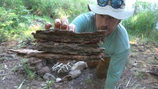 Primitive shelter | Grouse cooked on a stick over hemlock coals