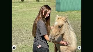 Animal Reiki & Meditation Workshop at Rangers Veterinary Rehabilitation Macedon, March 19th 2022