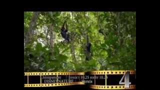 ITISMOVIE 04.28 01.flv
