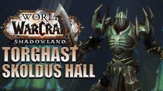 EARLY Torghast Gameplay (Skoldus Hall) | Shadowlands Alpha