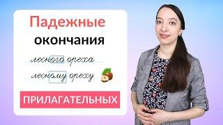 Падежные окончания прилагательных. Как определить окончания прилагательных?