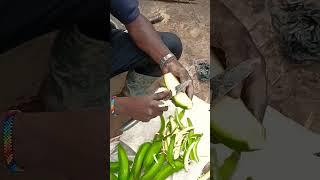 how to peel matooke/green bananas|offgrid homestead village cooking#viral#shorts