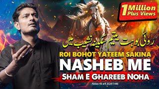 ROI BOHAT YATEEM SAKINA NASHEB ME | Abbas Ali Arfi Noha 2024 | Sham e Ghareeba | 10 Muharram Noha