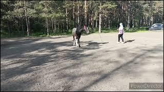 находка во время прогулки finding during a walk 