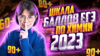 Шкала баллов ЕГЭ по химии 2023. Что нужно решить для порога, 60+, 80+, 90+ баллов?