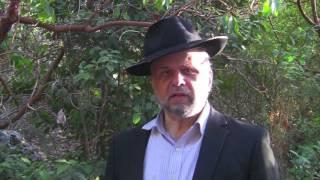 Rabbi Avi Schwartz: : The Moment of Truth