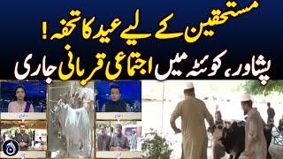 Eid gift for the deserving — collective sacrifice continues in Peshawar and Quetta - Aaj News