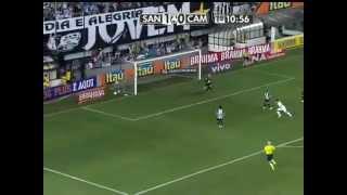 Amazing Goal by Neymar (Santos - Atletico MG)