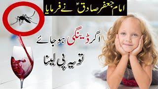 DENGUE FEVER Explained | ZAMZAMA TV