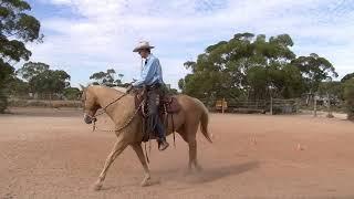 Rider balance and seat position and posture with Steve Halfpenny
