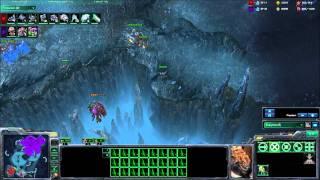 The Gold League Fight #1