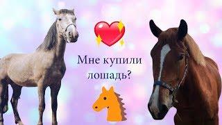 МНЕ КУПИЛИ ЛОШАДЬ? | ВОЗВРАЩЕНИЕ