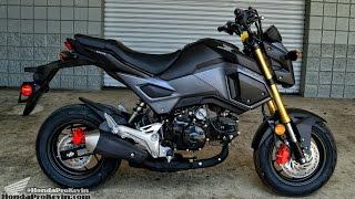 2017 Honda Grom 125 Walk-Around / Start-Up Video | Review at HondaProKevin.com (Matte Gray Metallic)