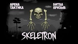 Terraria. Skeletron (arena, call, tactics, battle)