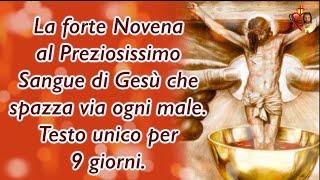 La forte Novena al Preziosissimo Sangue di Gesù che spazza via ogni male  Testo unico per 9 giorni