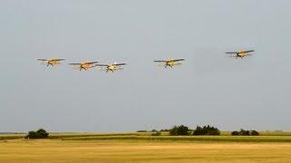 PZL-Mielec An-2 formation flight / mosquito control