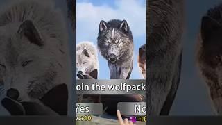#alfa #wolf #op #animals #bear #hunt #alfa #wolf #and#help#his #frand