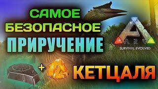 САМОЕ БЕЗОПАСНОЕ ПРИРУЧЕНИЕ КЕТЦАЛЯ в ARK Mobile | ark survival evolved, Арк Мобайл, #ark #arkmobile