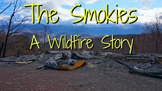 The Smokies: A Wildfire Story (Mini Documentary)