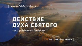 Действие Духа Святого | Проповедь Вдовенко Анатолия | Церковь Благая Весть