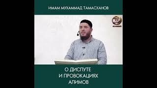 О диспуте и провокациях Алимов. Мухаммад Тамасханов