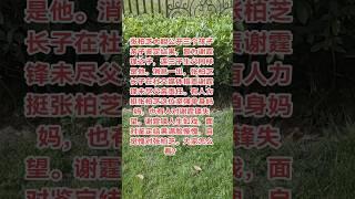 #八卦 #明星 #张柏芝 #谢霆锋