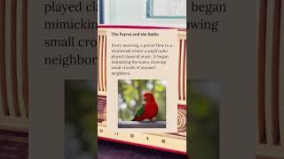 The Parrot and The Radio #wholesome #parrot