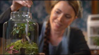 Making a Whimsical Terrarium | ASMR cozy basics (soft spoken)