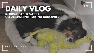 VLOG: SASSY ZACZYNA TERAPIĘ LASEREM - CO ZNOWU WYDARZYŁO SIĘ NA BUDOWIE? | PAULINA I PSY