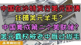 薅美国羊毛！中国在沙特发行美元主权国债？金融战中国出奇招！中国利用两国美元储备成为影子美联储，美元霸权竟然被中国雁过拔毛