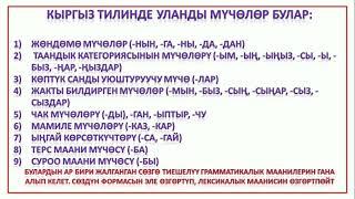 10-сабак. Морфология. Уңгу жана мүчө.